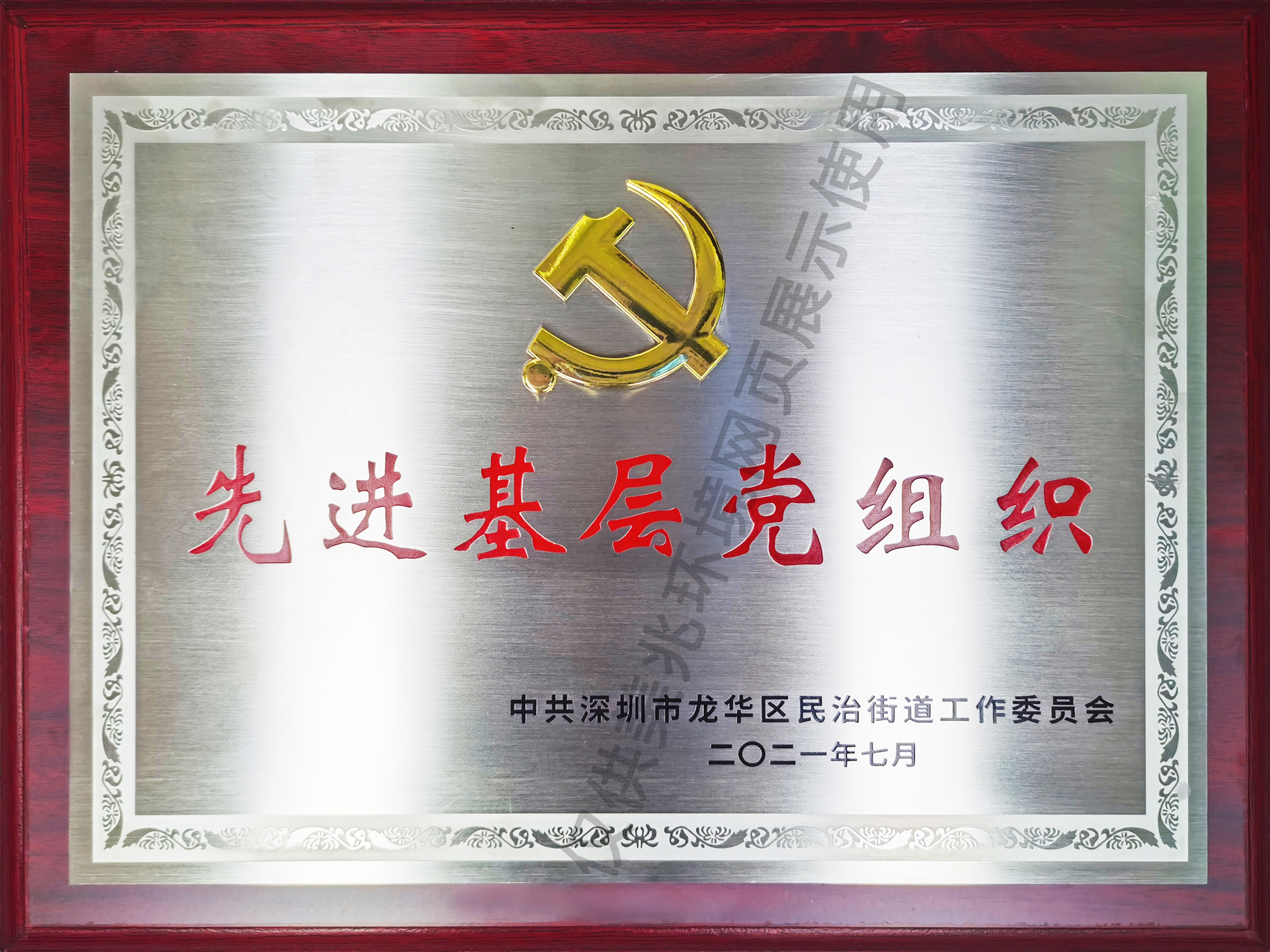 深圳市与龙华区重大产业项目（战略新兴产业）